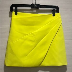 ALICE AND OLIVIA SKIRT SIZE 2 NWOT